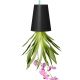Sky Planter Ceramic Medium black Boskke