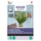 Buzzy House Plants Californische palm