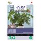 Buzzy House Plants Philodendron Selluom