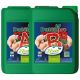 Dutchpro Hydro/Cocos Bloom A + B 5 ltr