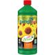 Dutchpro pH - Bloom 1 ltr