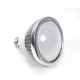 E27 LED Bulb, GROWING B18, 18Watt, 130º, voor Professionele Groei en Bloei
