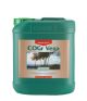 Canna Cogr Vega A & B 5 ltr