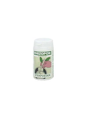 Rhizopon poeder chryzotop 0,25% 25 gr.