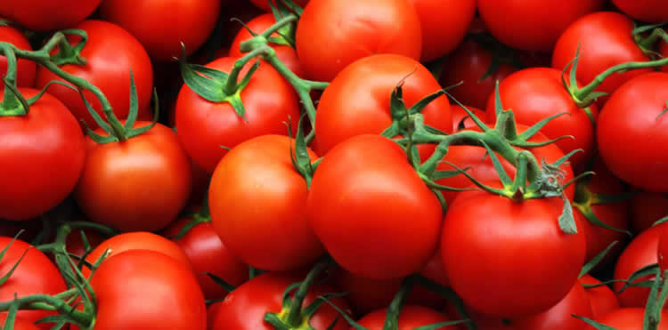 Tomaten