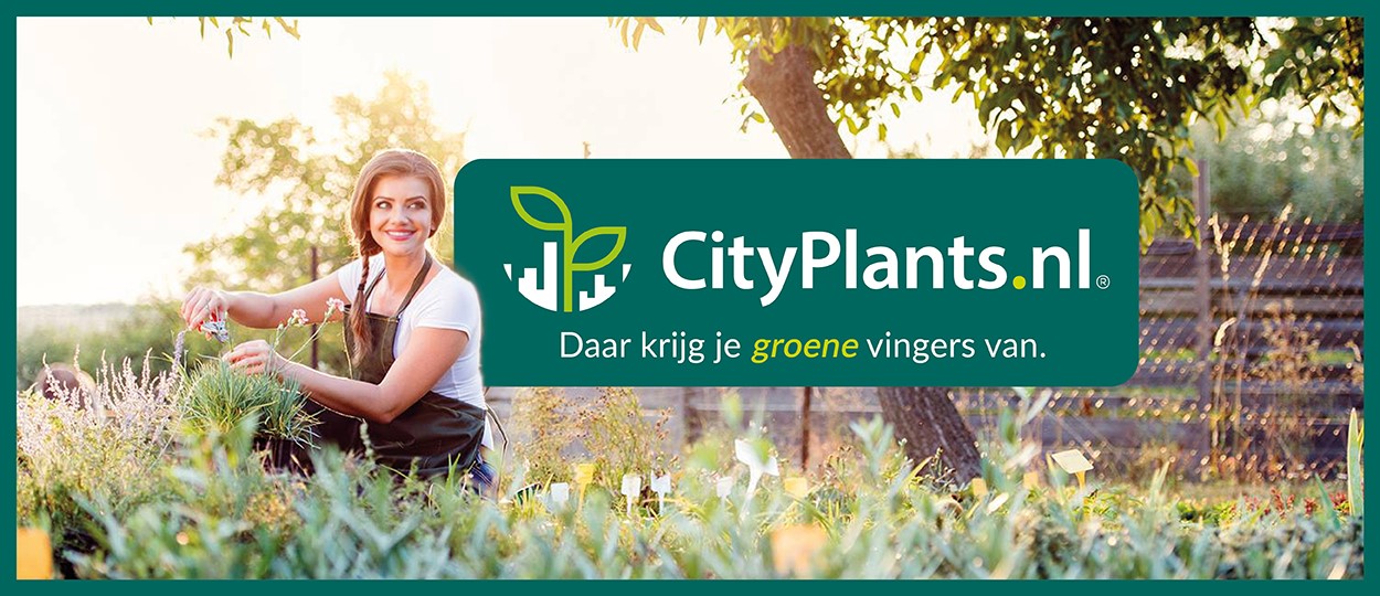 cityplants-homepage-banner1